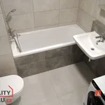 Rent 1 bedroom apartment in Plzeň