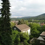 Rent 2 bedroom apartment of 58 m² in Baden-Baden