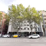 Rent a room of 12 m² in barcelona