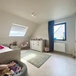 Huur 4 slaapkamer huis van 324 m² in Lievegem