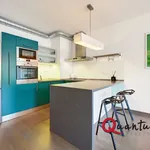 Rent 2 bedroom apartment of 67 m² in Prague