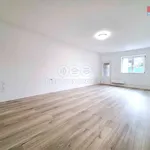 Rent 1 bedroom apartment of 44 m² in Nová Ves u Plzně