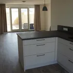 Rent 3 bedroom house of 134 m² in Nijmegen