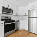 Rent 1 bedroom apartment of 74 m² in New York City