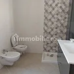 Rent 3 bedroom apartment of 80 m² in L'Aquila