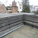 Rent 3 bedroom apartment of 140 m² in Haarlem