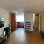 Rent 3 bedroom house of 100 m² in Tilburg