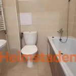 Rent 3 bedroom apartment of 53 m² in Havířov