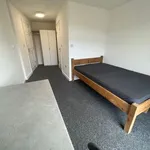 Rent a room in Sheffield