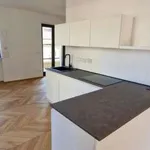 Rent 3 bedroom apartment of 120 m² in Turin