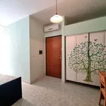 Rent 1 bedroom apartment of 45 m² in catanzaro