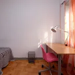 Rent 4 bedroom apartment in Coimbra