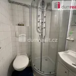 Rent 1 bedroom apartment in Břeclav