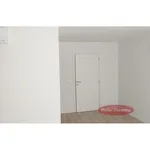 Rent 1 bedroom apartment in Braga