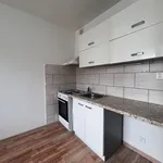 Rent 1 bedroom apartment in Chomutov