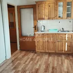 Rent 1 bedroom apartment of 50 m² in Plzeň