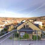 Rent 1 bedroom apartment of 164 m² in Trier