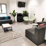 Rent 1 bedroom apartment in zaragoza