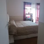 Single Bedroom in Villanova neighbourhood