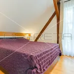 Rent 1 bedroom apartment of 60 m² in Zagreb