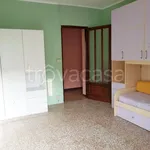 Rent 2 bedroom apartment of 45 m² in Torino