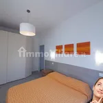 Rent 3 bedroom apartment of 60 m² in Teramo