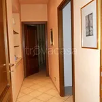 Rent 3 bedroom apartment of 70 m² in Torino