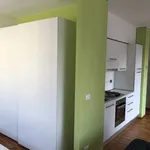 Rent 1 bedroom apartment of 45 m² in Torino