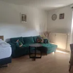 Rent 1 bedroom apartment of 38 m² in Dresden