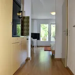 Miete 1 Schlafzimmer wohnung von 33 m² in Dübendorf