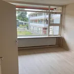 Huur 2 slaapkamer appartement van 59 m² in alphen-aan-den-rijn