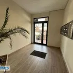 Rent 2 bedroom apartment of 60 m² in Palermo