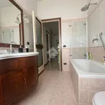 Rent 1 bedroom apartment of 19 m² in Bergamo