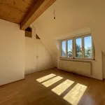 Rent 3 bedroom apartment of 110 m² in Wien