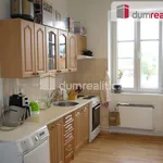 Rent 1 bedroom apartment of 39 m² in Děčín