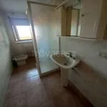 Rent 3 bedroom apartment of 75 m² in Borgomanero