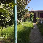 Affitto 4 camera appartamento di 80 m² in Monte Porzio Catone