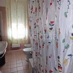 Rent 3 bedroom apartment of 60 m² in Carrara