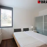 Pronajměte si 2 ložnic/e byt o rozloze 58 m² v Brno