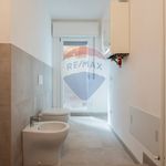 Porzione di casa in Affitto Viadana 33631032-78 | RE/MAX Italia