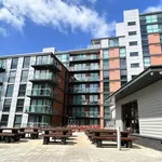 Rent 1 bedroom apartment in Yorkshire And The Humber