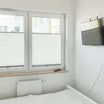 Rent 2 bedroom apartment of 43 m² in krakow