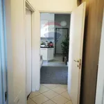 Rent 3 bedroom apartment of 85 m² in Bologna