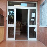 Rent 3 bedroom apartment of 76 m² in Anzio