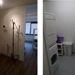 Rent 3 bedroom apartment of 96 m² in Binnenstad