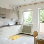 Rent 2 bedroom apartment of 50 m² in Levico Terme