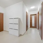 Rent 3 bedroom apartment of 80 m² in Capital City of Prague