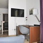 Rent 1 bedroom apartment in Brno