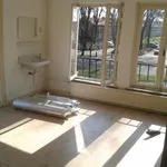 Rent 1 bedroom apartment of 12 m² in Den Bosch