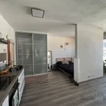 Rent 1 bedroom apartment of 40 m² in Brno